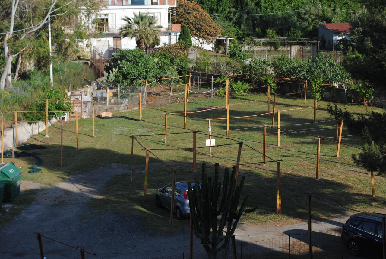 Hotel South Paradise Palmi Dış mekan fotoğraf